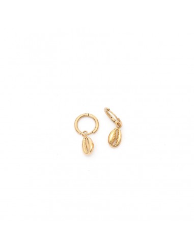 Shells - earrings made of gilded stainless steel