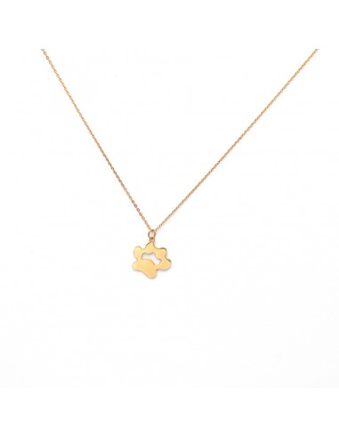 Gold-plated "Dog's Paw" necklace with the possibility of engraving - 1