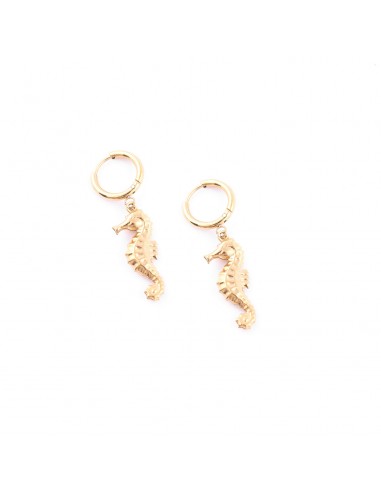 Seahorse - small earrings made of...